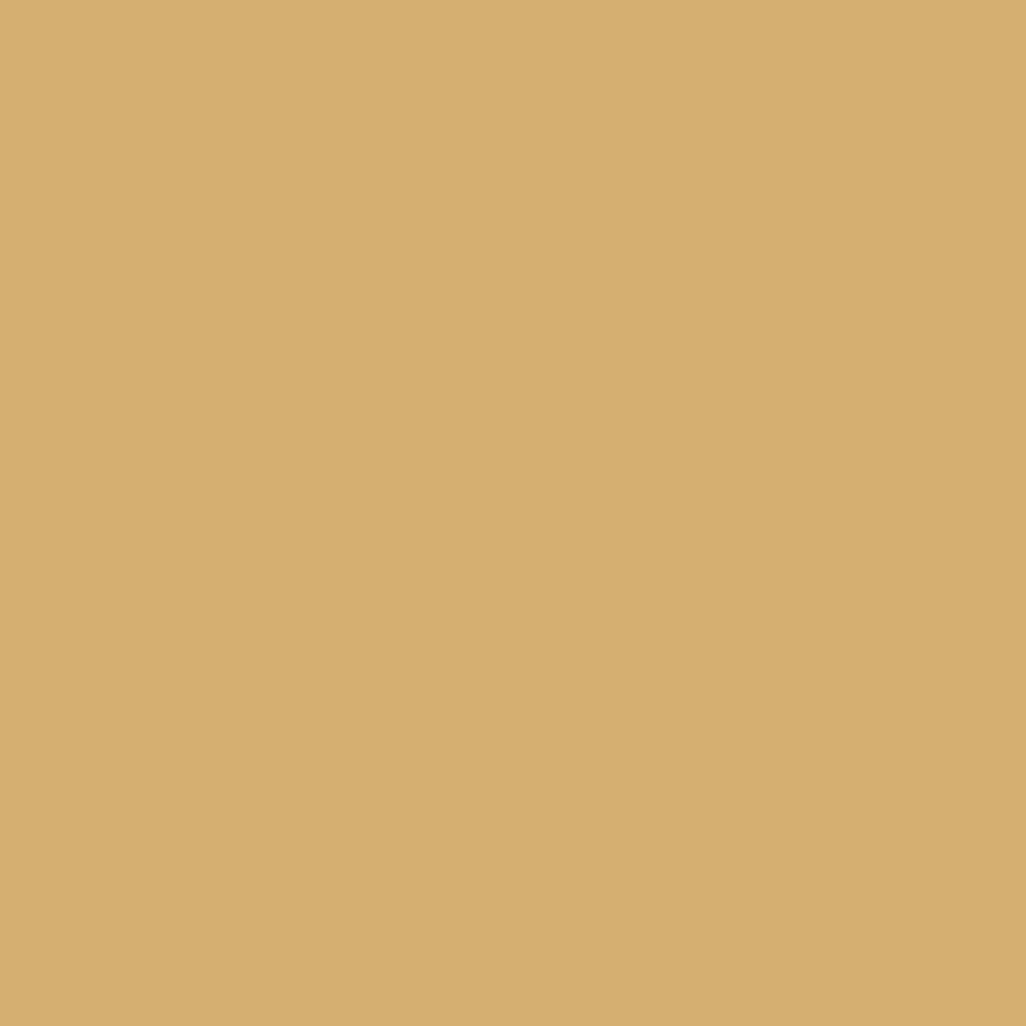 Coffee Cream . 12x12 Bazzill Cardstock