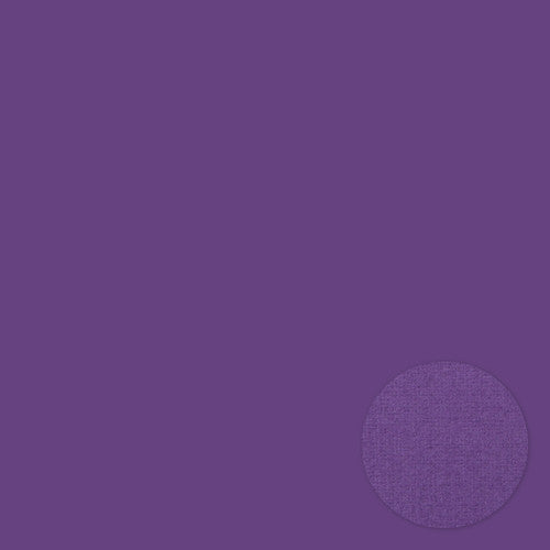 Purple . 12x12 Bazzill Cardstock