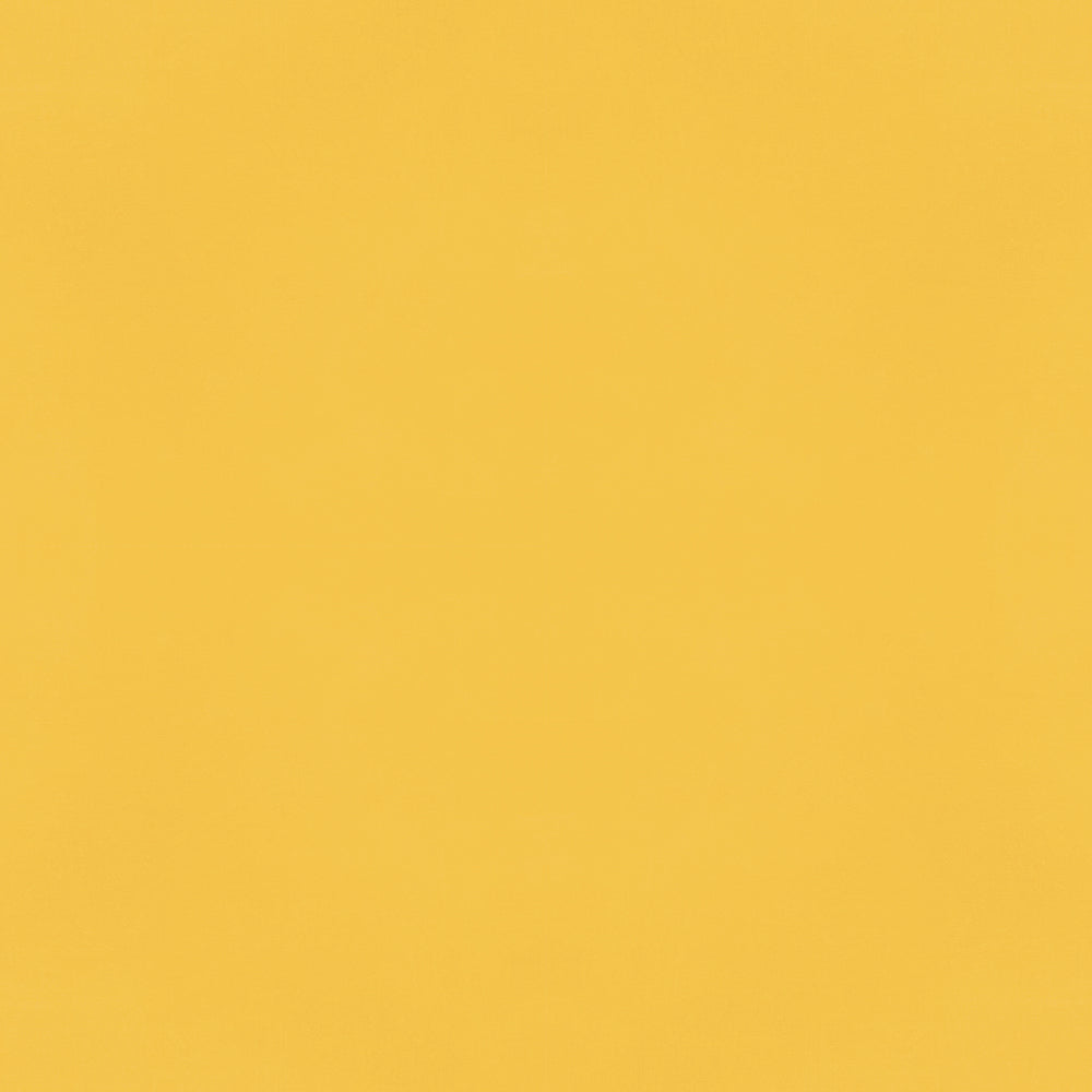 Color Vibe . Dandelion Textured Cardstock