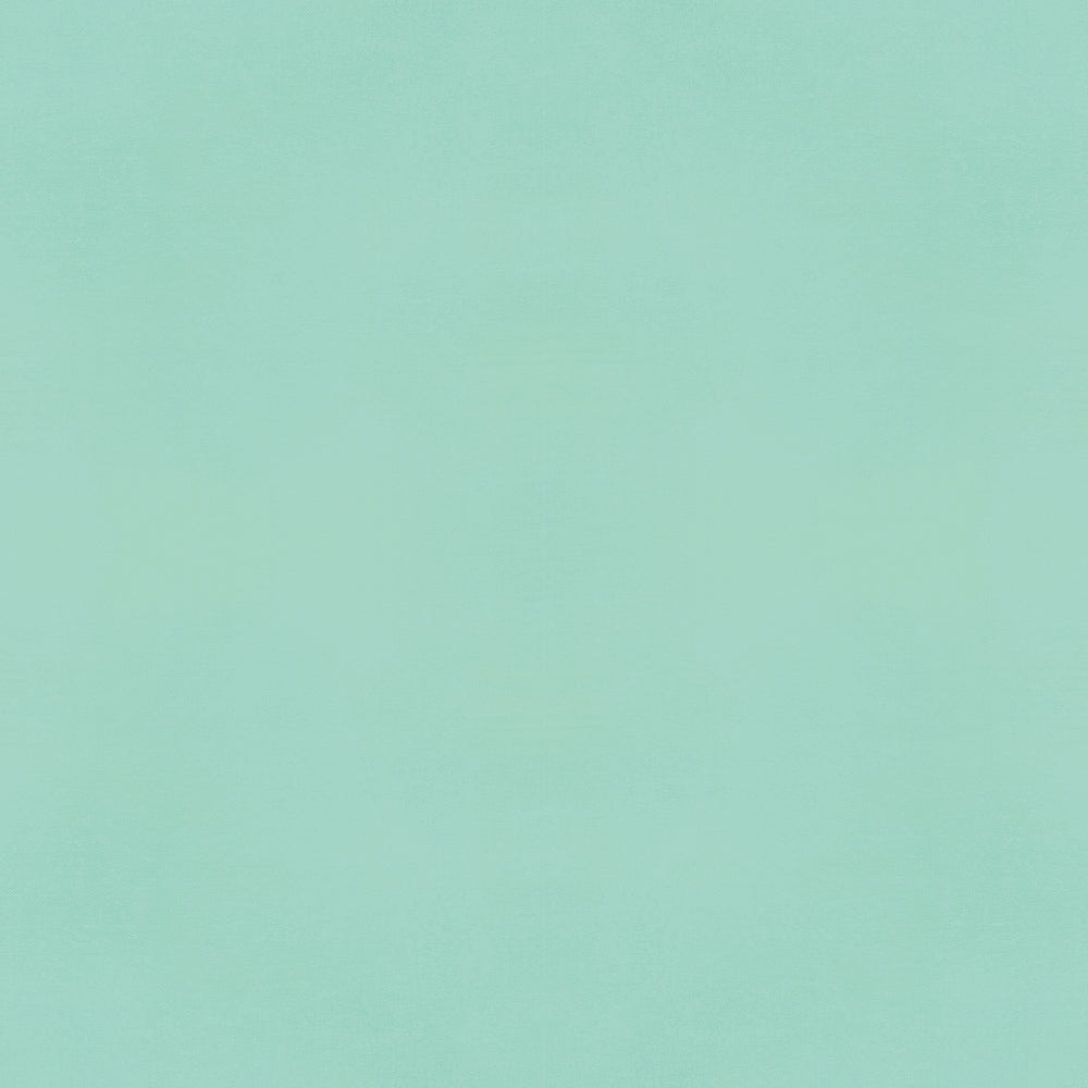 Color Vibe . Robin's Egg Textured Cardstock