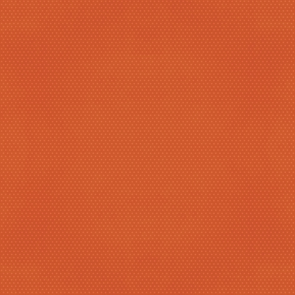 Color Vibe . Pumpkin Textured Cardstock