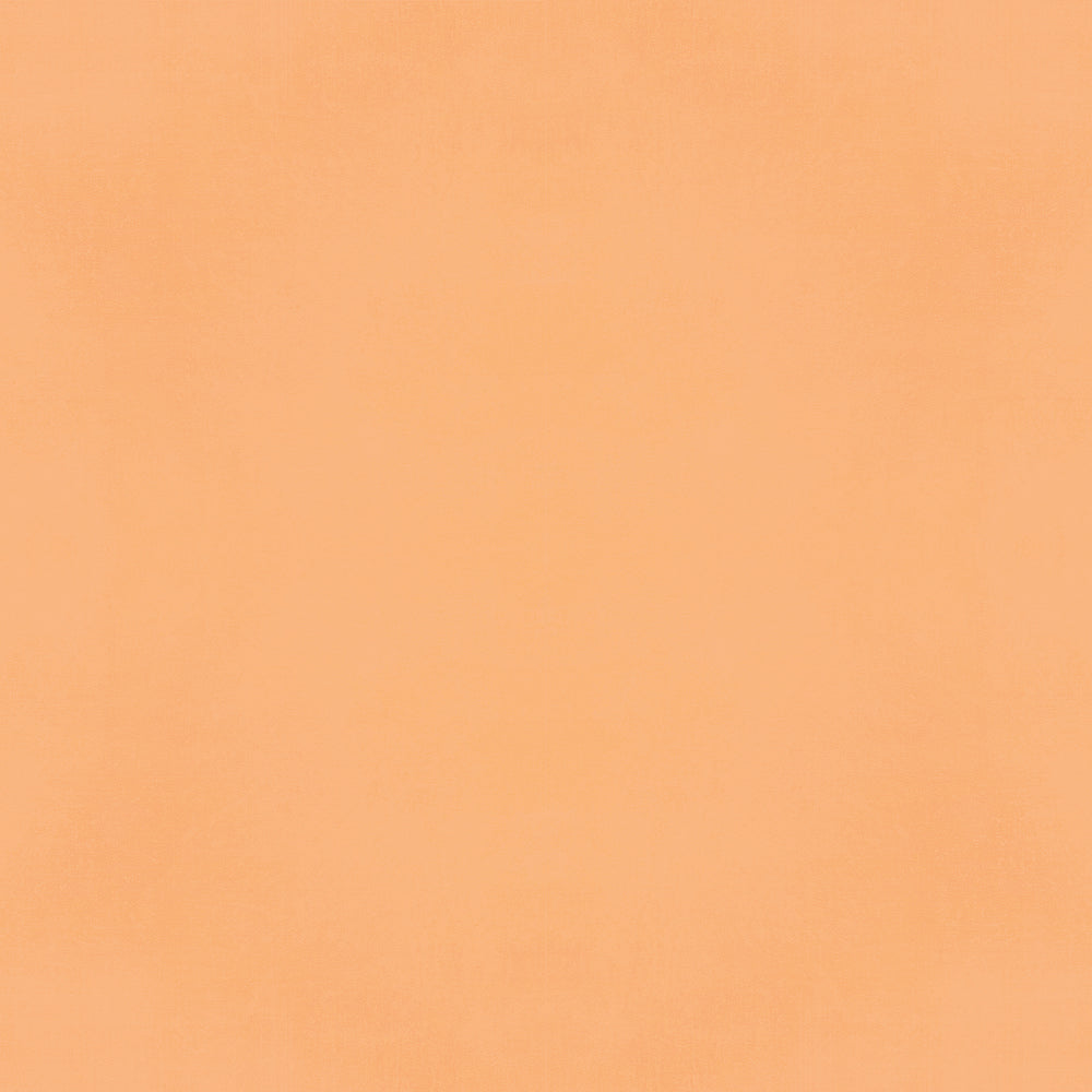 Color Vibe . Apricot Textured Cardstock