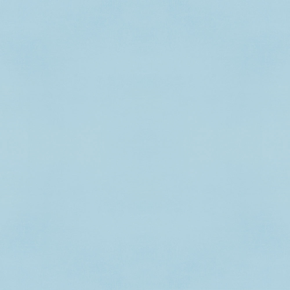 Color Vibe . Sky Textured Cardstock
