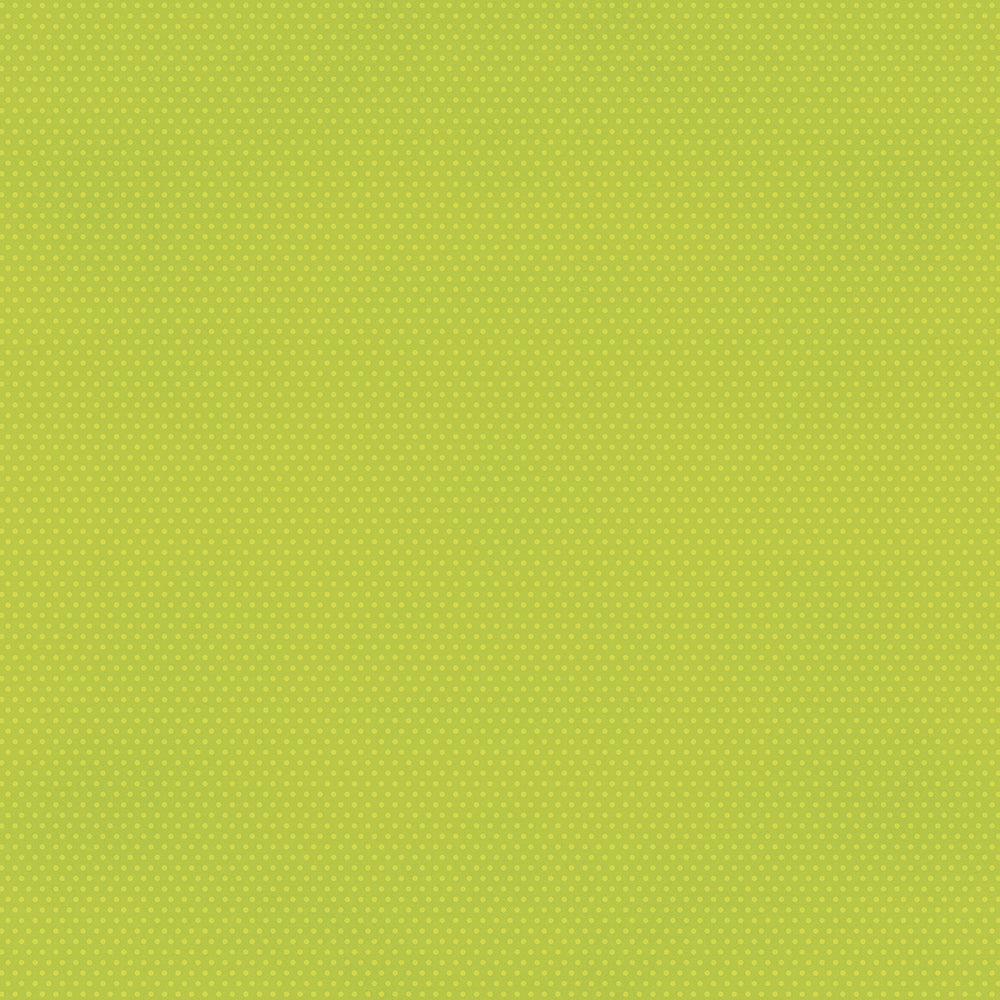 Color Vibe . Lime Textured Cardstock