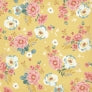 Wildflower . Radiate Sushine