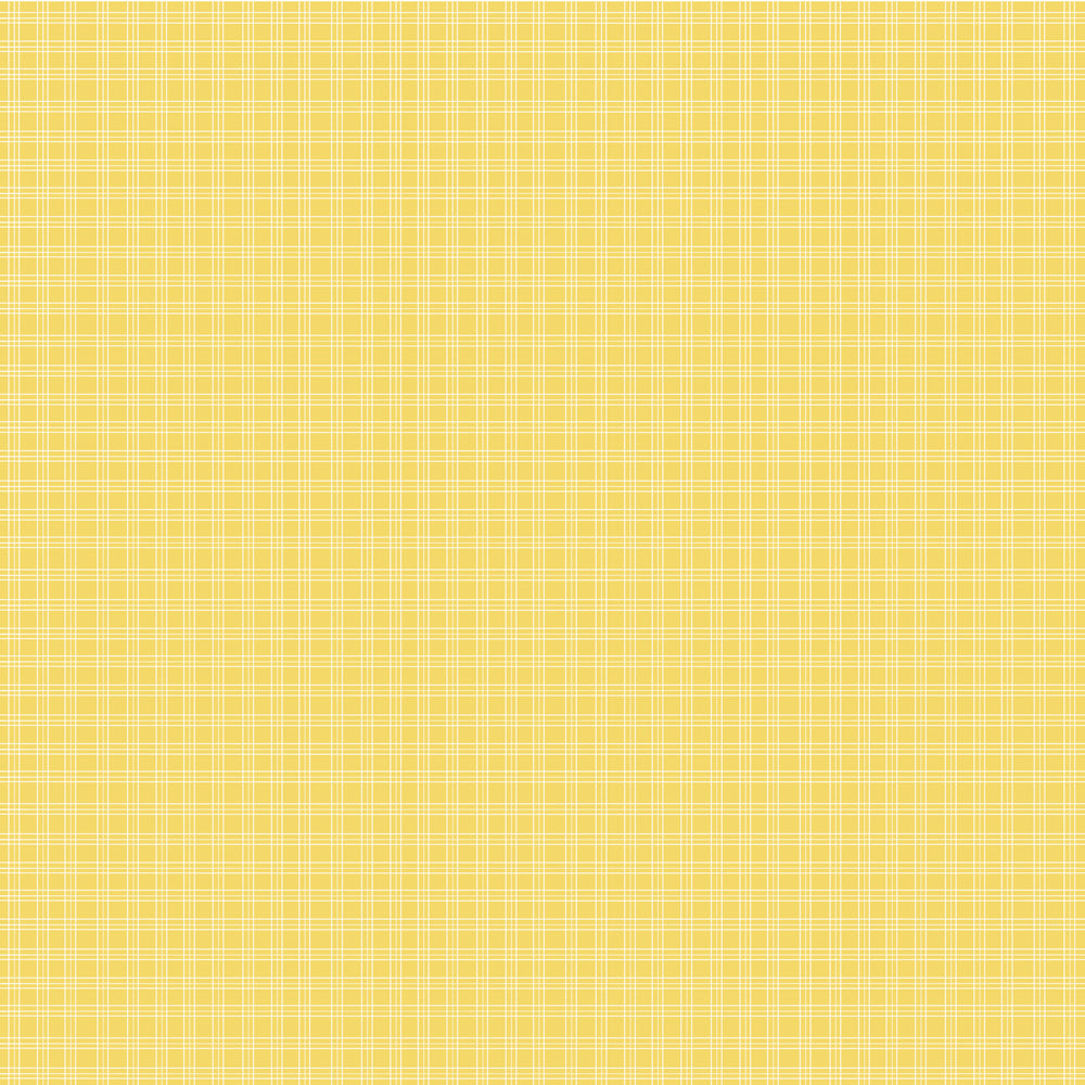 Fresh Air . Press Pause