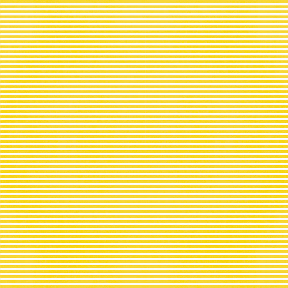 Say Cheese Magic . Here We Go