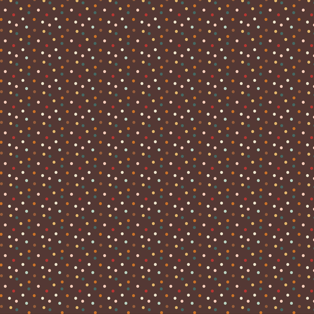 Cider & Donuts . Comfy Cozy