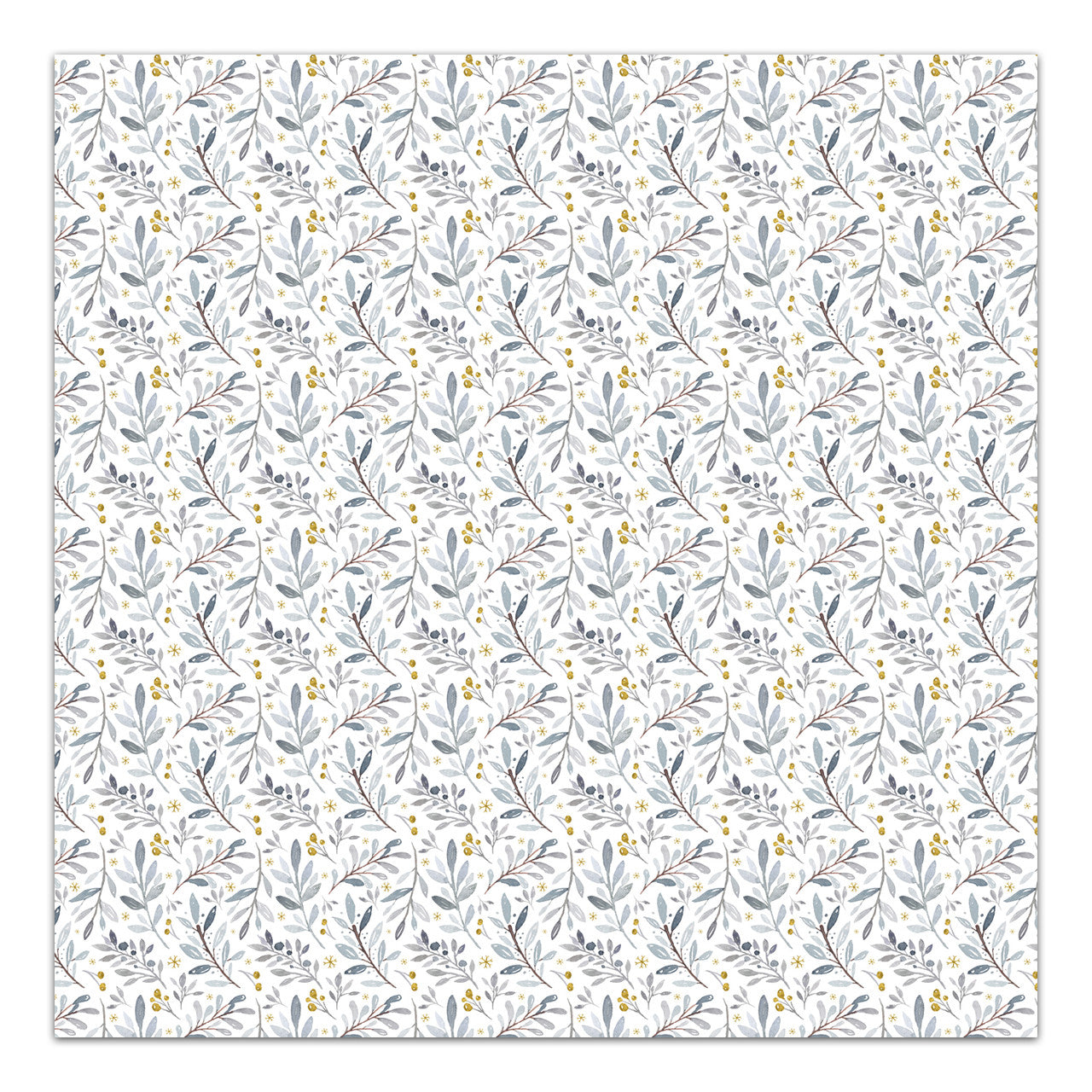 Frosty . Frosty Morning