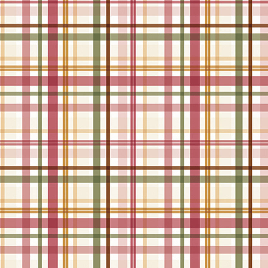 Special Delivery Baby Girl . Loved Girl Plaid