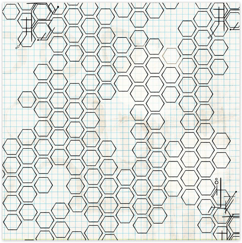 Wildflowers . Honey Comb