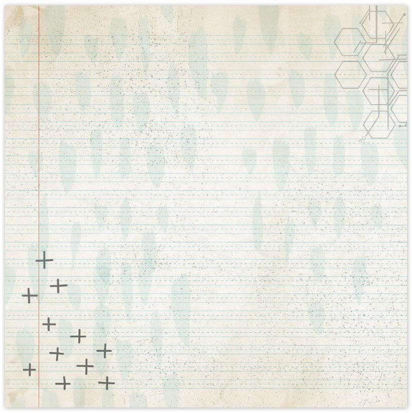 Wildflowers . Warmer Weather