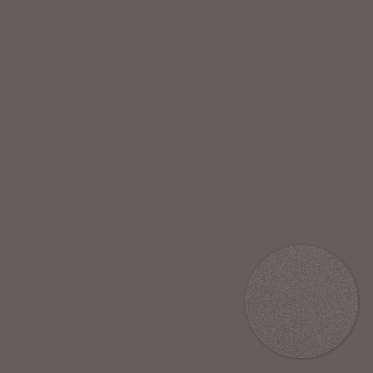Dark Gray . 12x12 Bazzill Cardstock