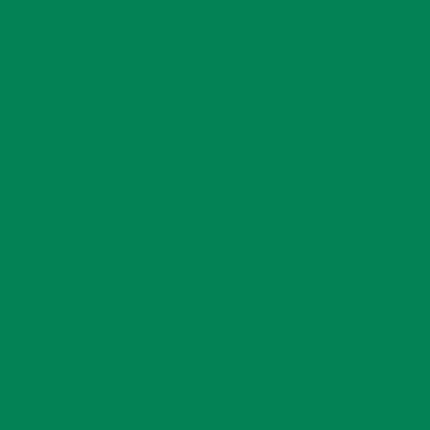Bottle Green . 12x12 Bazzill Cardstock