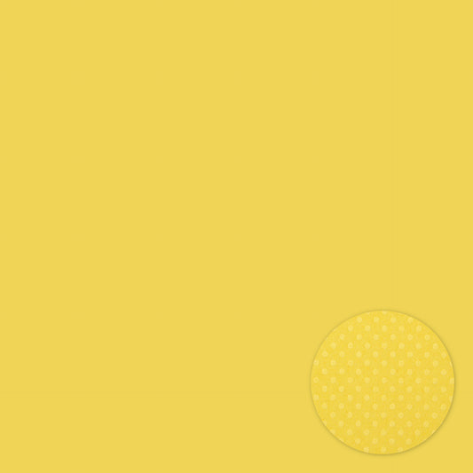 Butter . 12x12 Bazzill Cardstock