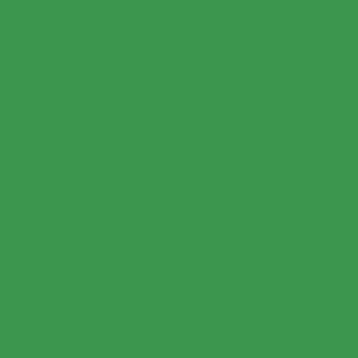 Emperor Green . 12x12 Bazzill Cardstock