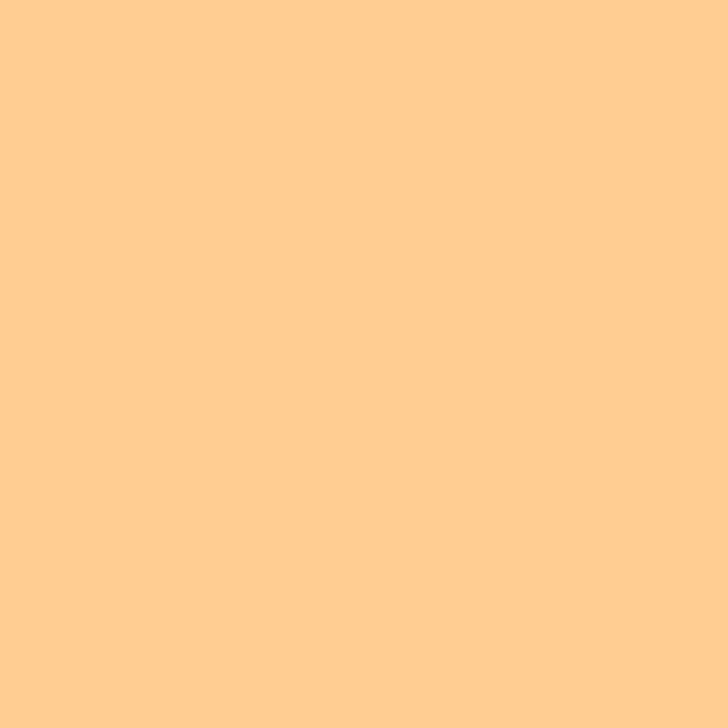 Citrus Slice . 12x12 Bazzill Cardstock
