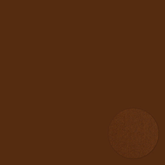 Chocolate . 12x12 Bazzill Cardstock