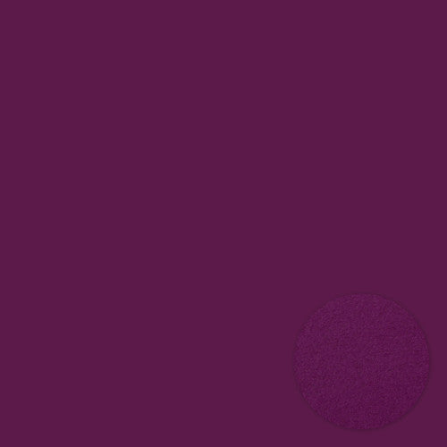 Mardi Gras . 12x12 Bazzill Cardstock