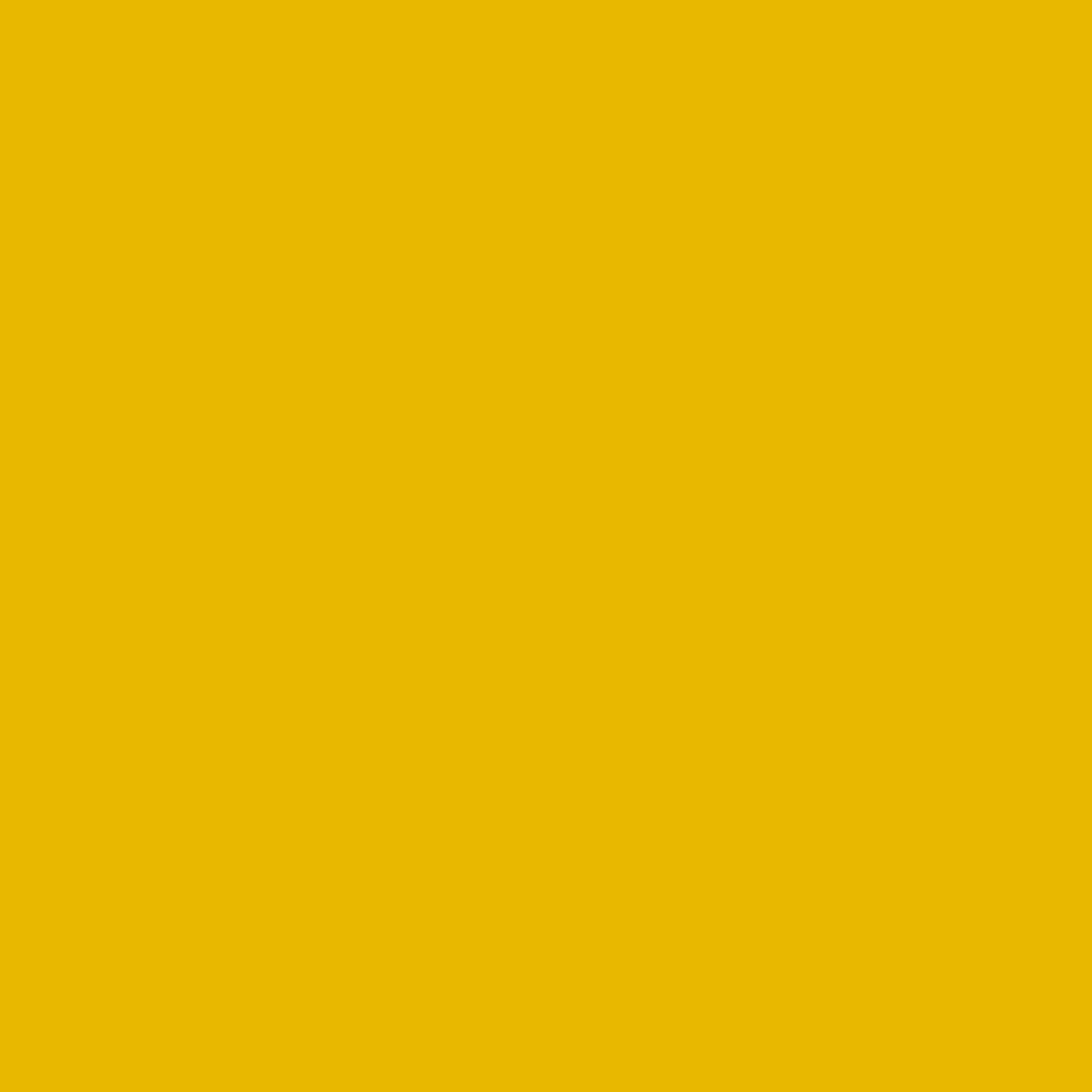 Gold Coins . 12x12 Bazzill Cardstock