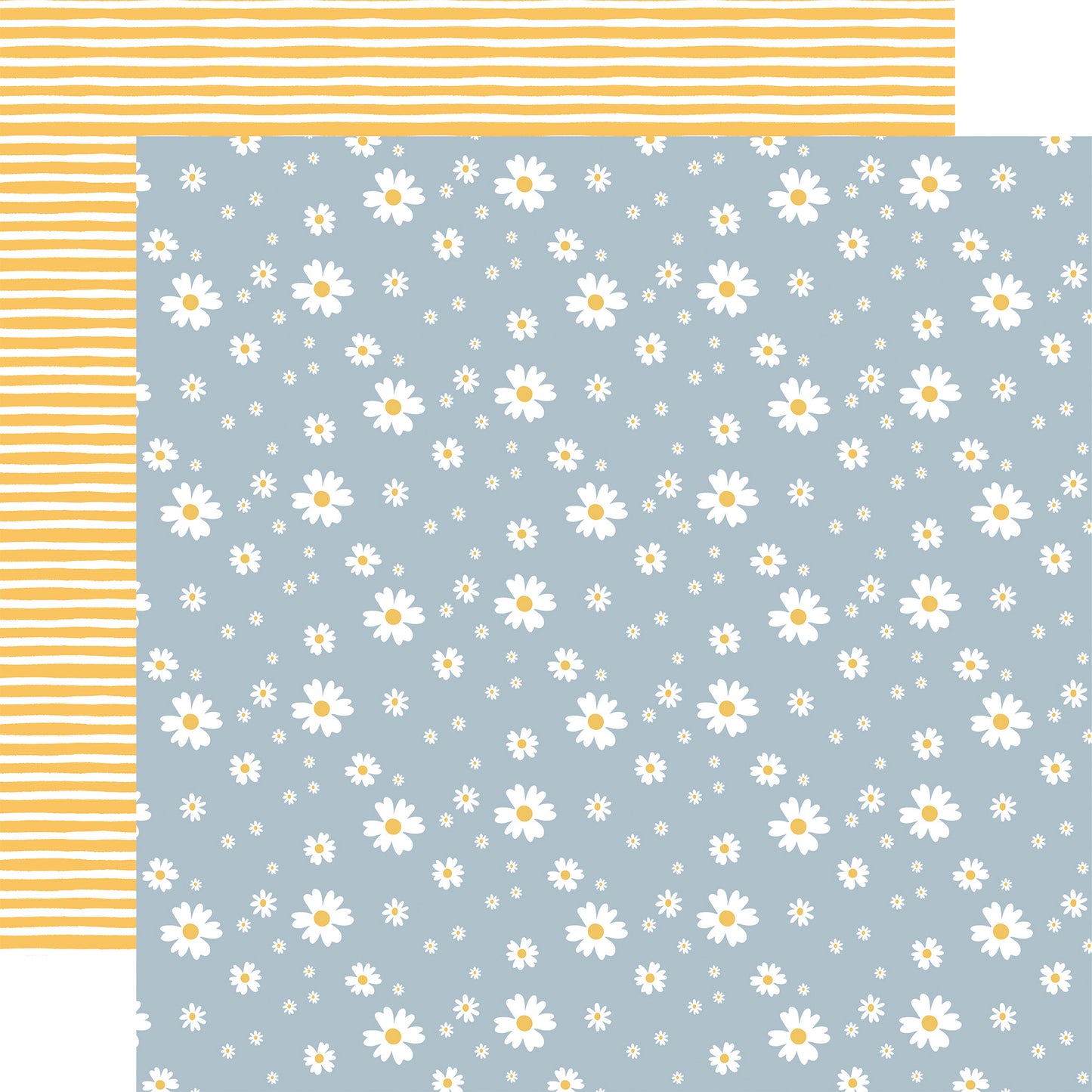 Firefly . Shining Daisies
