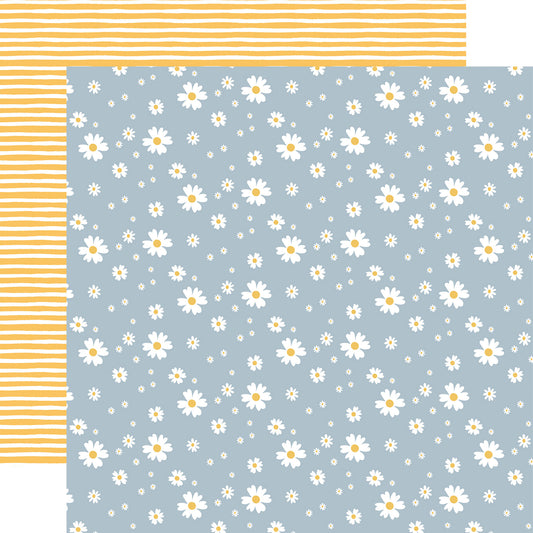Firefly . Shining Daisies