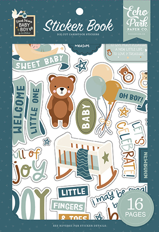 Special Delivery Baby Boy . Sticker Book