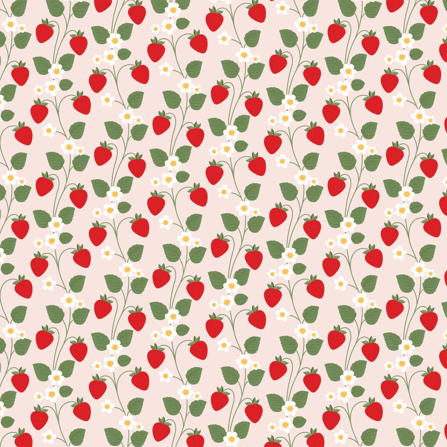 Strawberry Fields . Blooming Berries