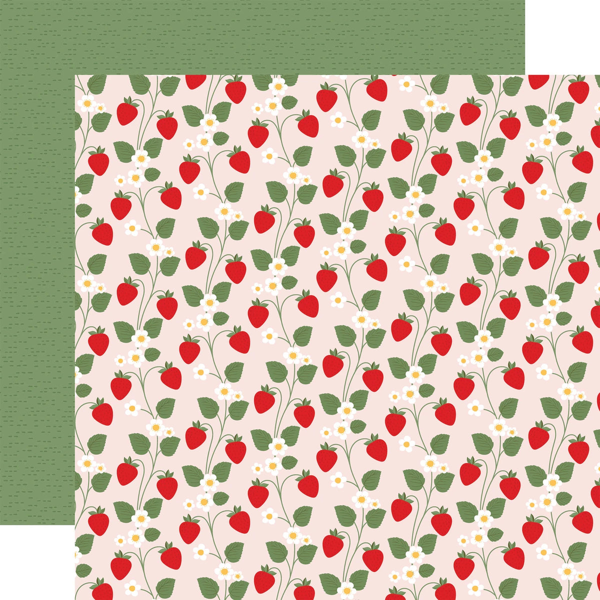Strawberry Fields . Blooming Berries