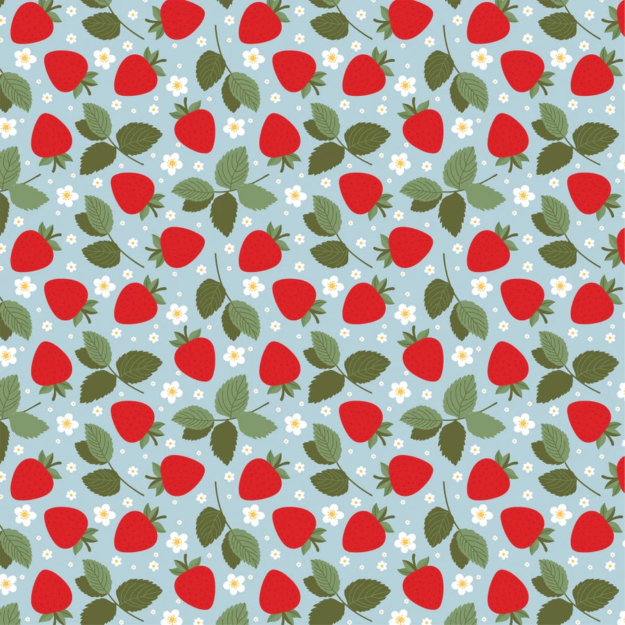 Strawberry Fields . Fresh Picked Strawberries