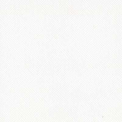 Lilly White . 12x12 Bazzill Cardstock